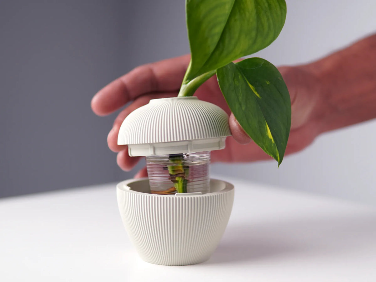 Vase de propagation - Maison Print