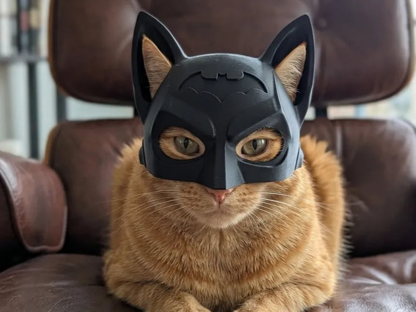 Le meilleur casque de chat Batman jamais créé - Geek Print