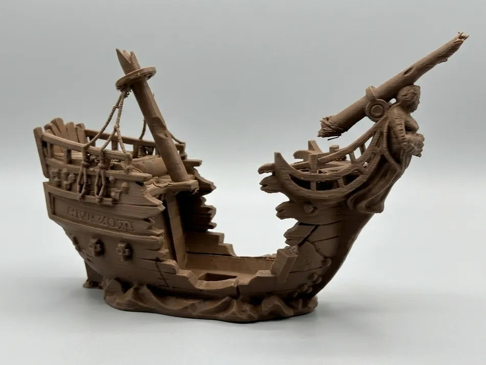 Bateau pirate brisé – « Le Serpent de Mer » - Maquette Print