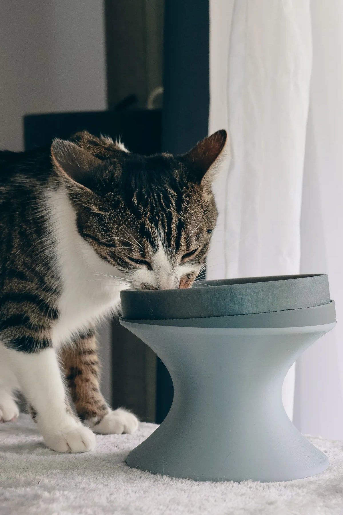 Suréleveur de Gamelle pour Animaux (et une Gamelle Optionnelle) - Pet Print