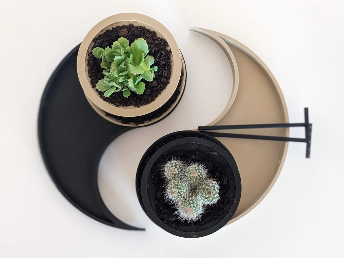 Jardin zen Yin Yang avec pot de plante biologique - Art Print