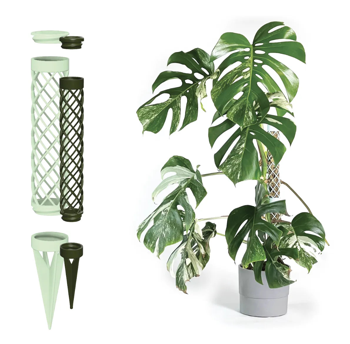 Tuteur en mousse modulaire 40 MM pour toutes vos plantes d'intérieur - Jardin Print