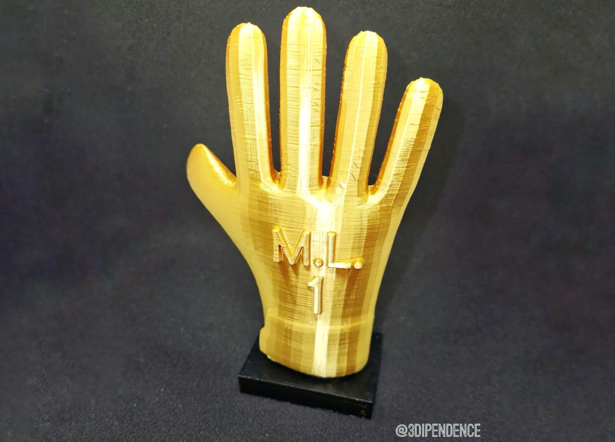 Trophée de gant personnalisable - Sport Print