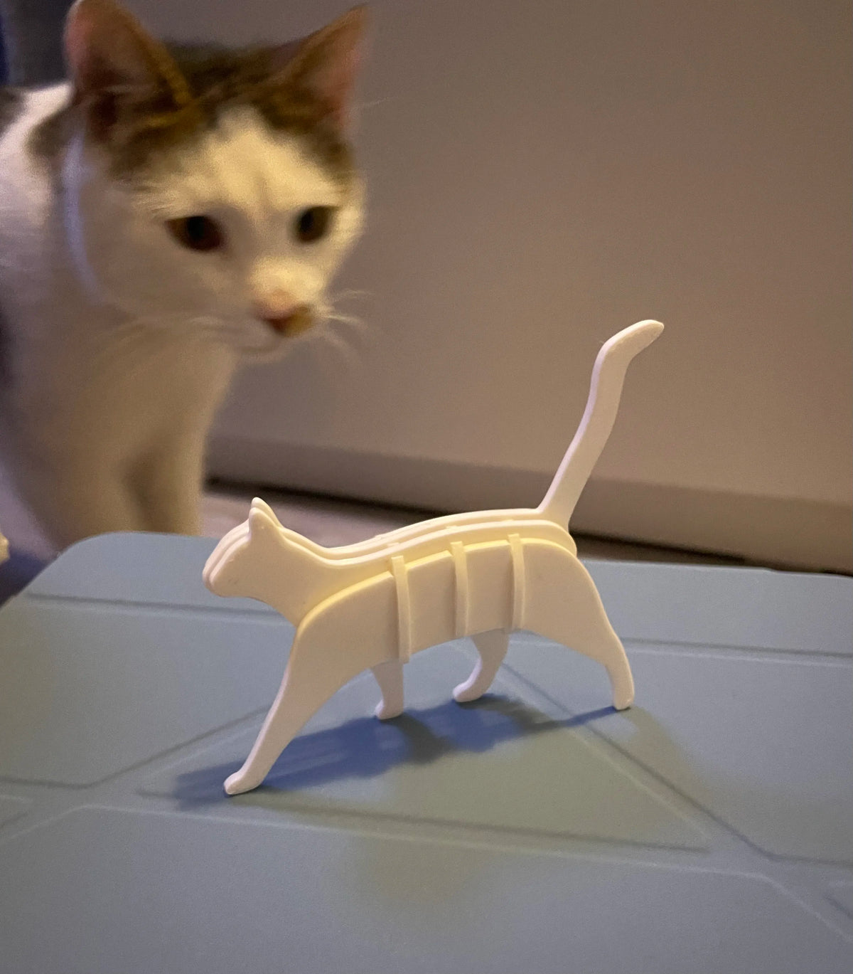 Kit Carte Chat Marchant - Maquette Print