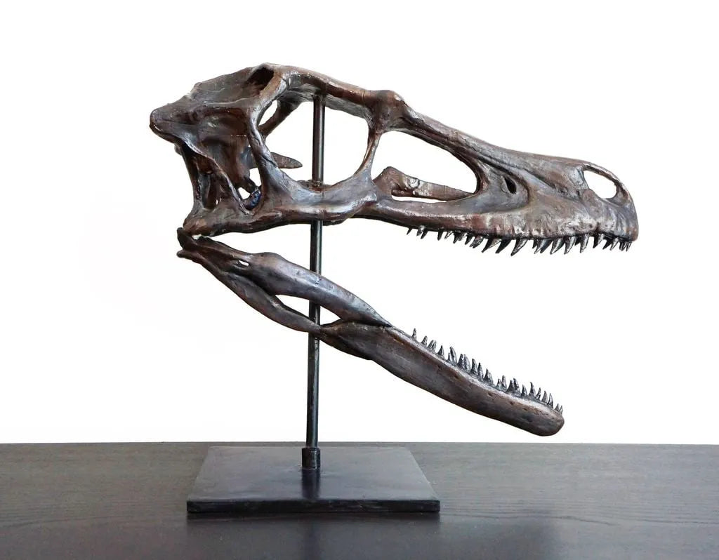 Crâne de Deinonychus (Raptor) - Maquette Print