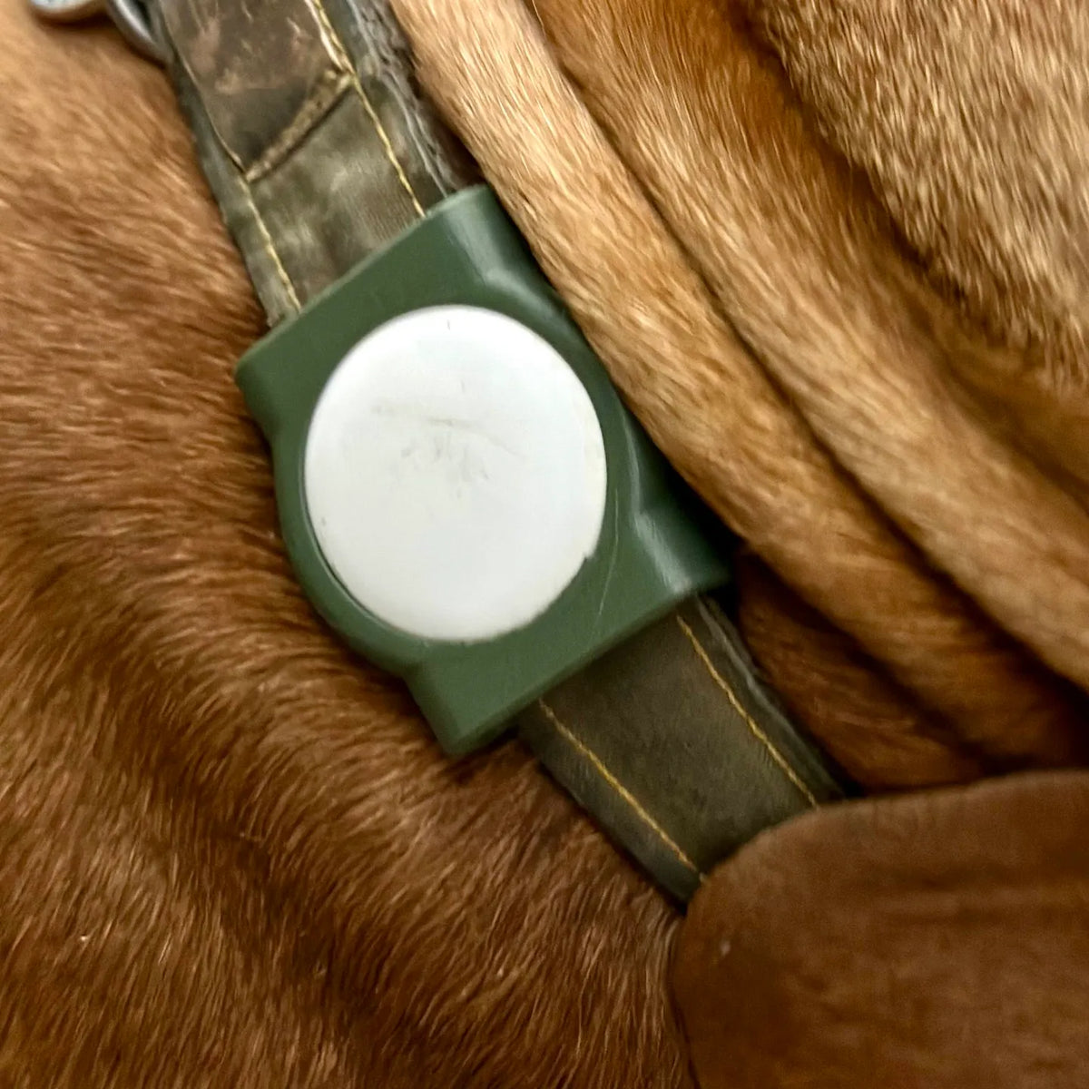 Porte-AirTag pour collier de chien - solide et fendu - Pet Print