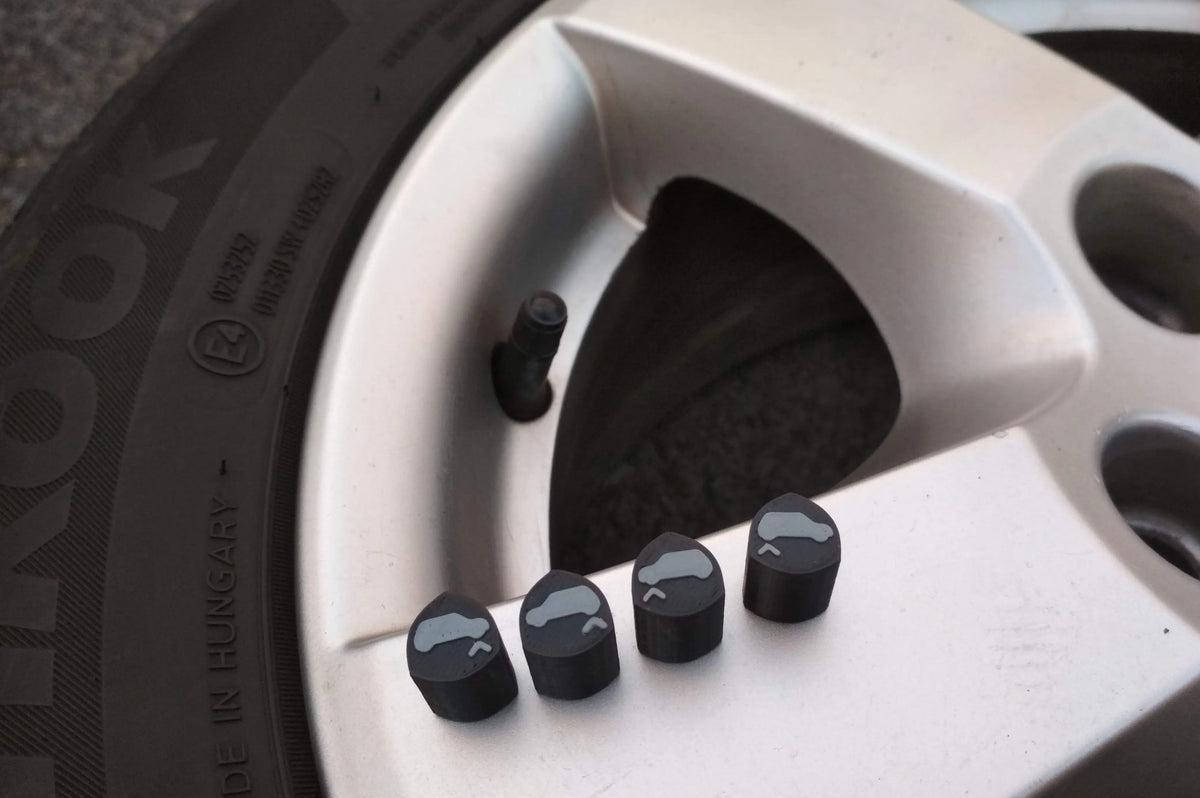 Capsules de valve de marquage de pneus - Auto Print