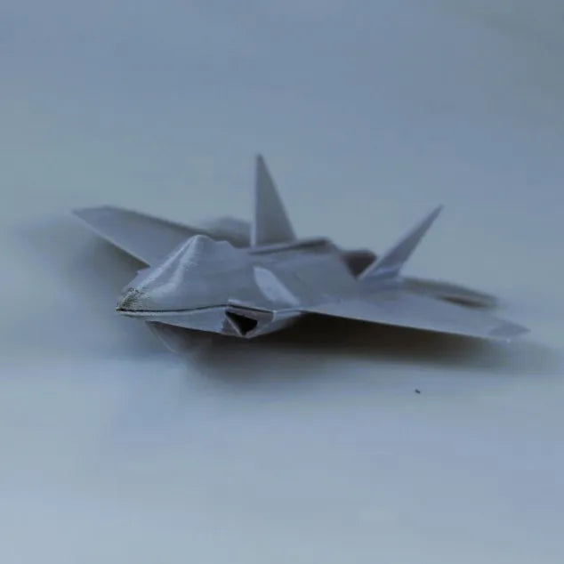 Planeur F22 Raptor - Maquette Print