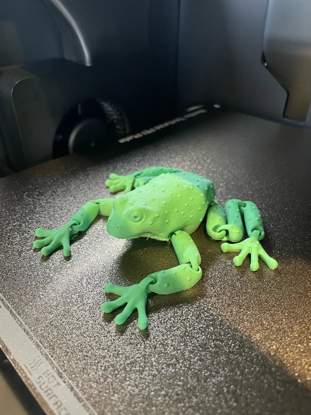 Grenouille articulée flexible - Figurine Print