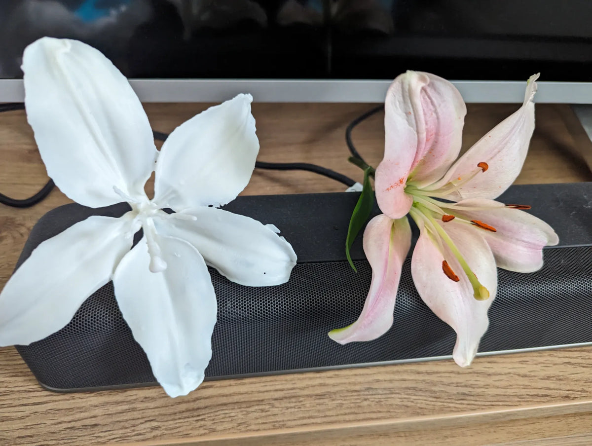 Fleur de Lys (fleur réelle scannée en 3D) - Maison Print