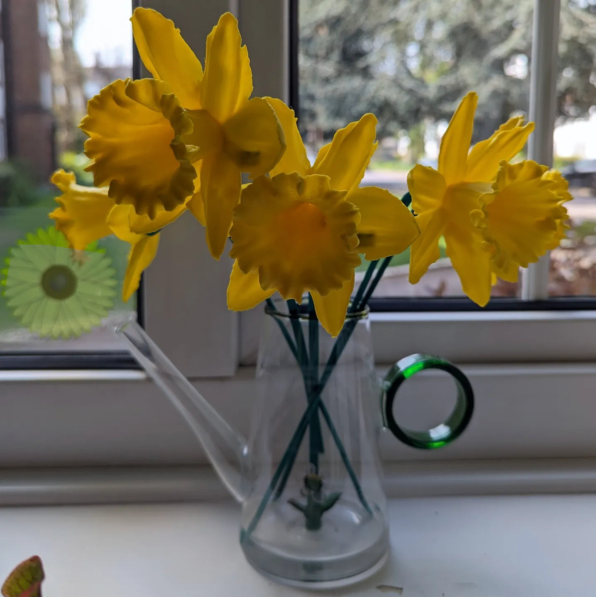 Fleur et tige de narcisse (fleur réelle numérisée en 3D) - Maison Print