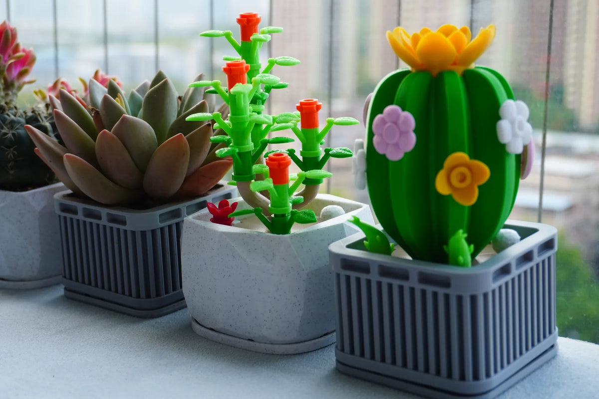 Assembler des succulentes - Jardin Print
