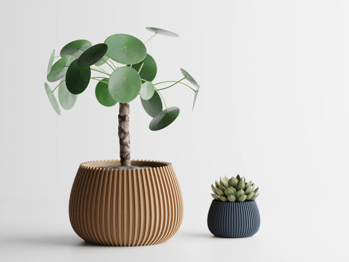 Jardinière à côtes modernes Vase à plantes Série 4 - Cadeau Print