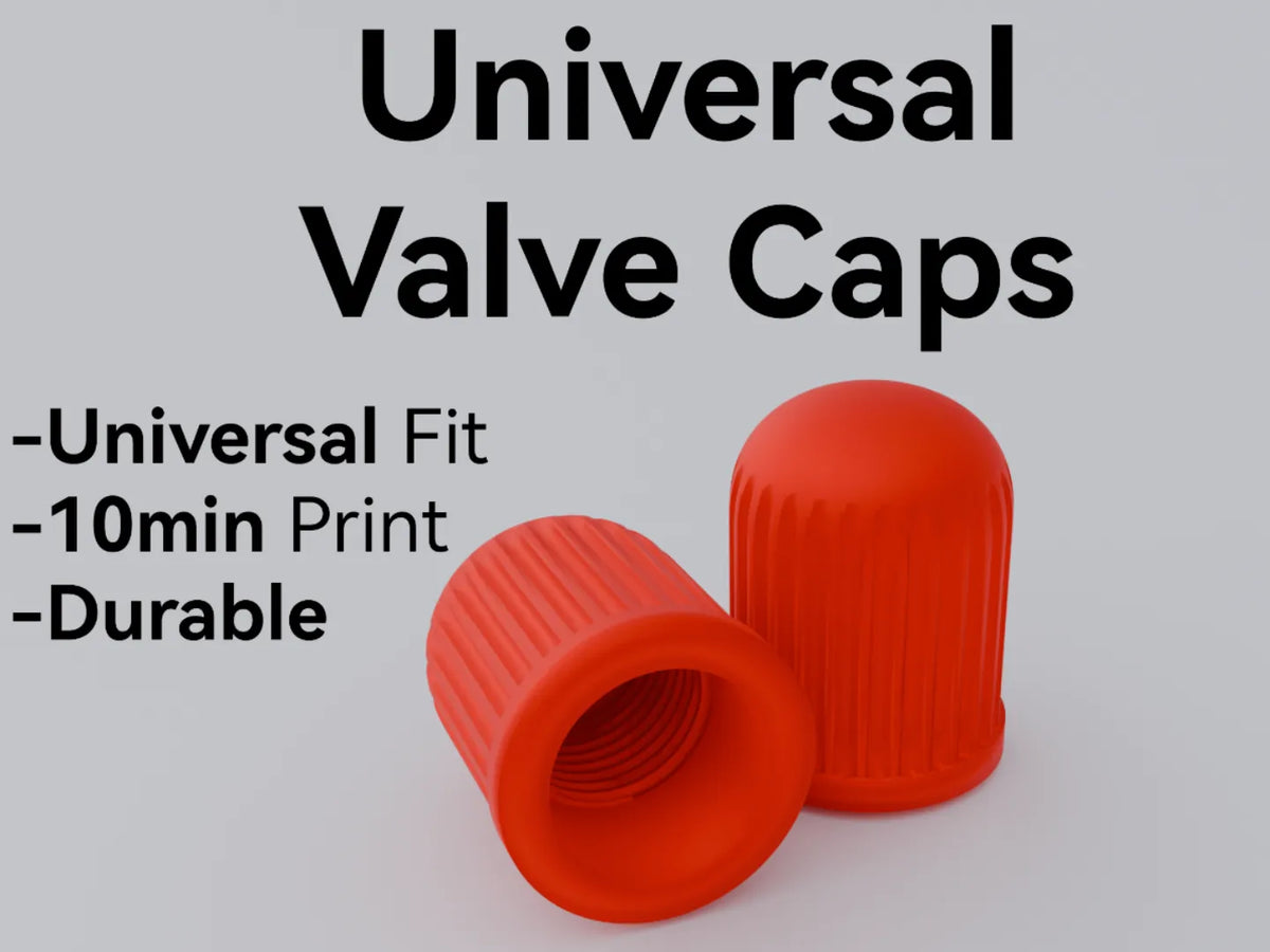 Capuchon de valve universel – Capuchons de valve Schrader - Auto Print