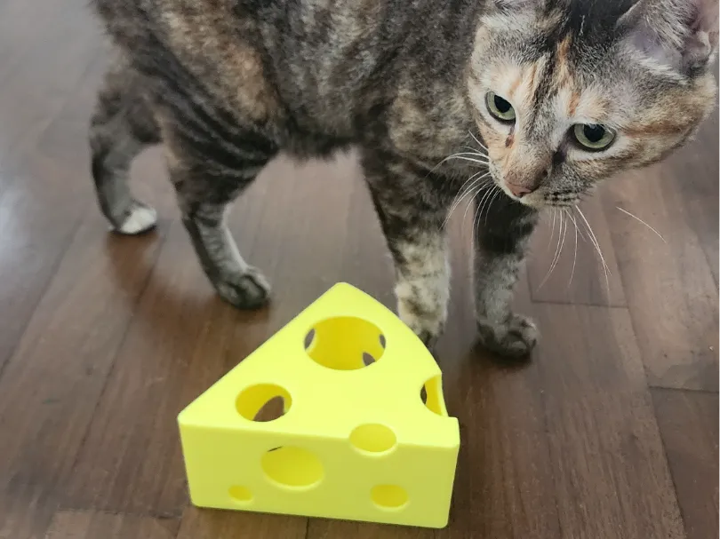 Le Grand Fromage - Jouet pour Friandises pour Chats - Pet Print