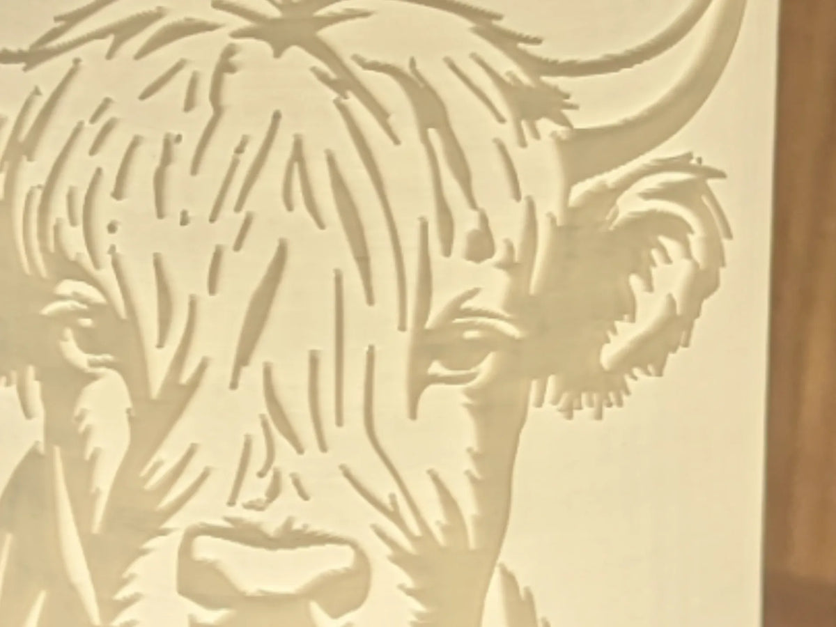 Veilleuse Highland Cow - Lumière Print