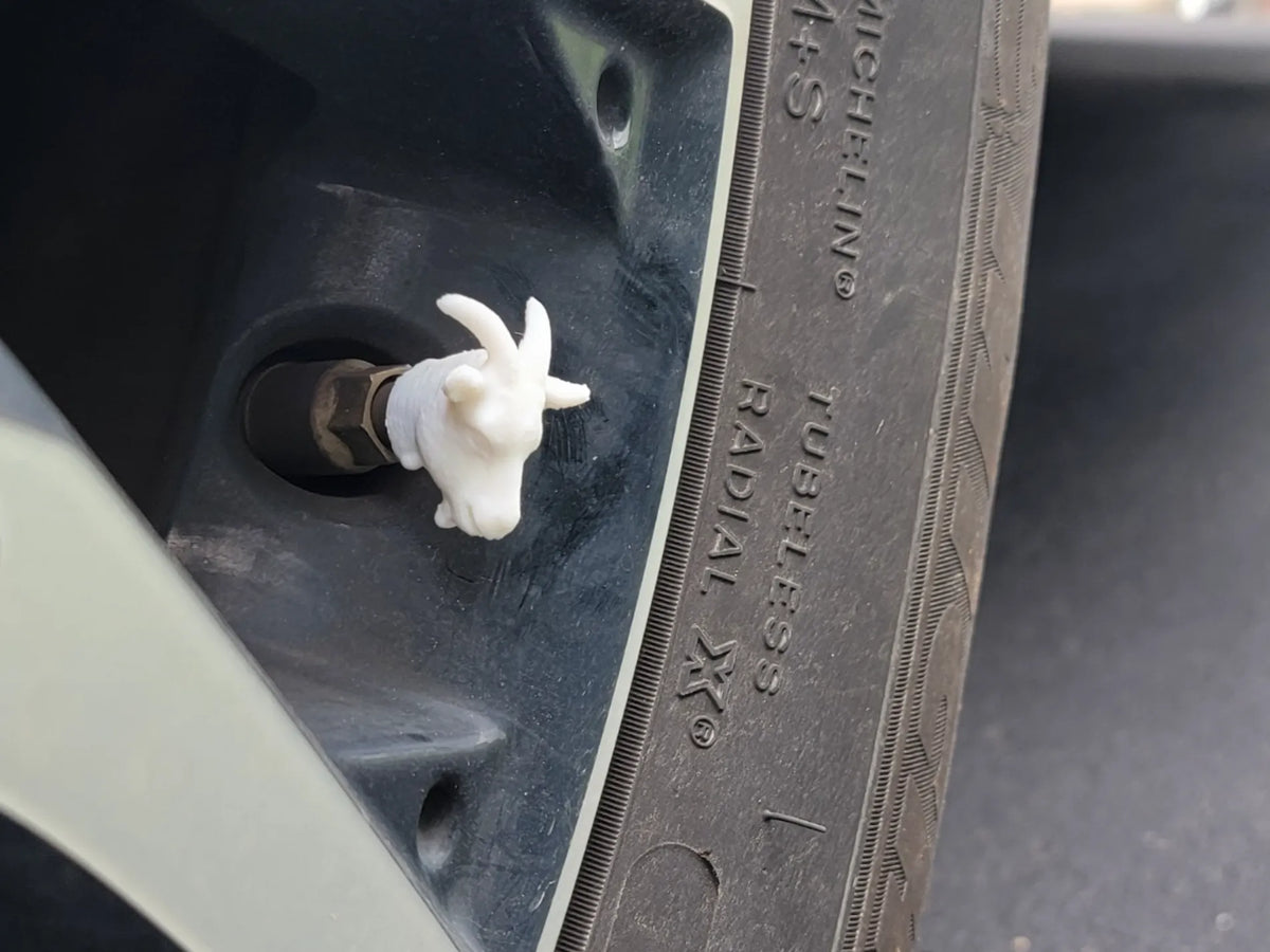 Chapeau de valve de chèvre - Voitures/Camions - Schrader - Auto Print