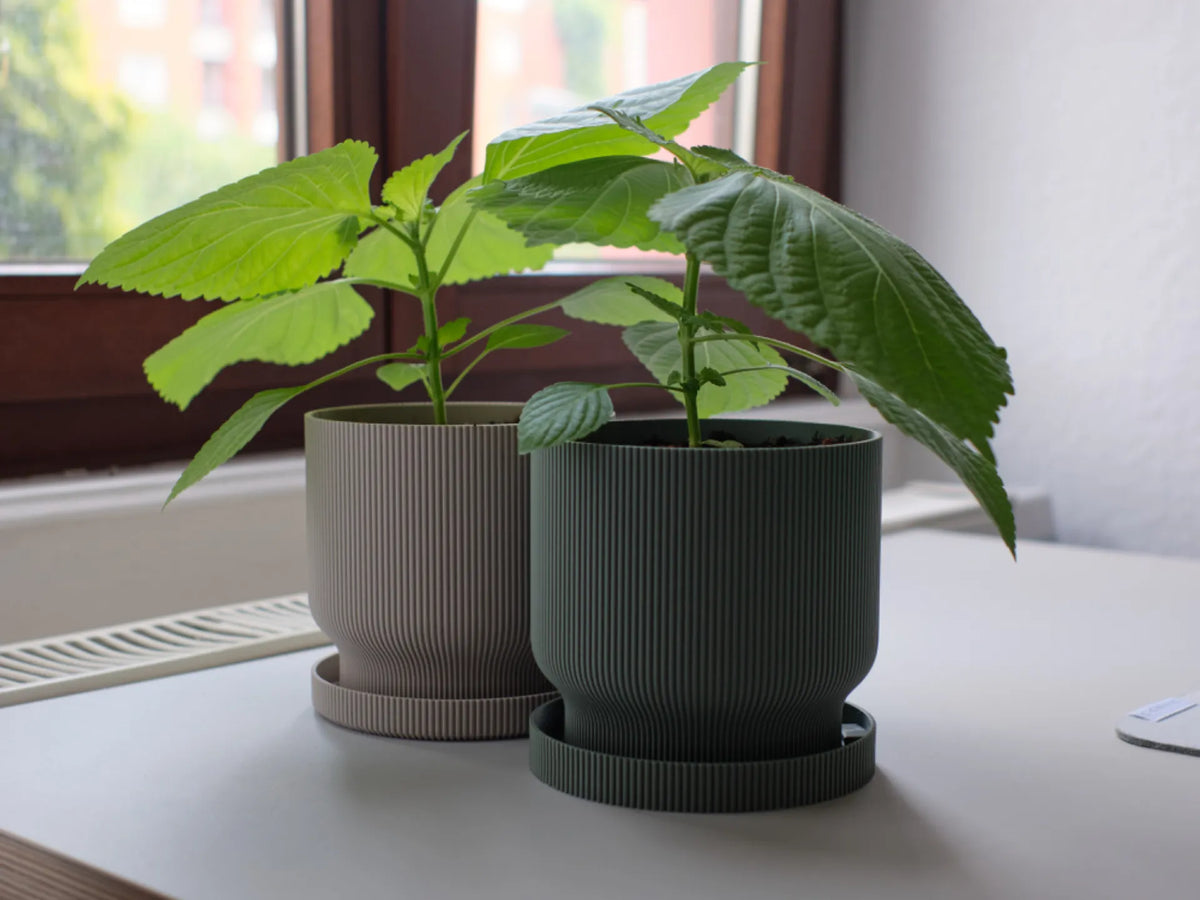 Pot de plantation avec plateau d'égouttement, 12 cm / 5 pouces - Jardin Print