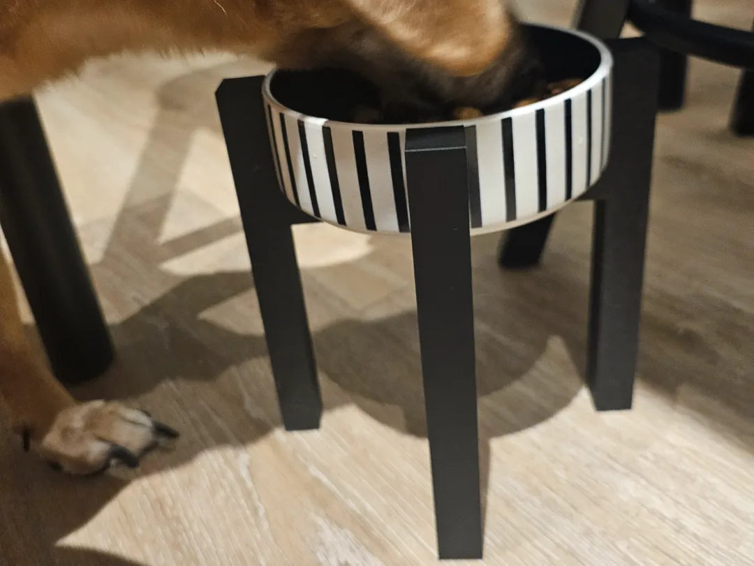 Bol surélevé pour animaux de compagnie - Pet Print