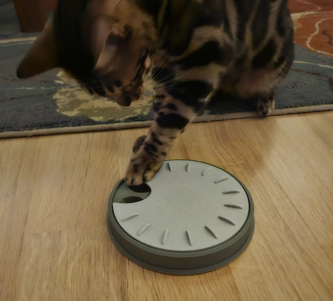 Mangeoire à chat rotative pour gâteries - Pet Print