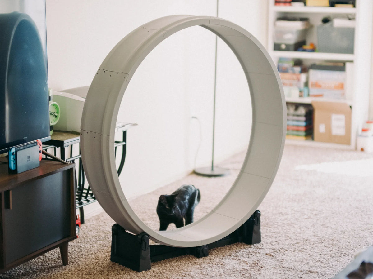 Roue d'exercice pour chat - Figurine Print