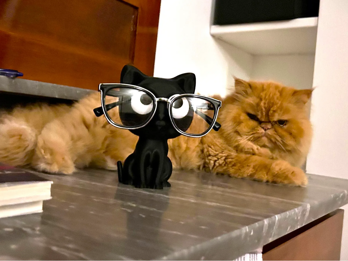 Porte-lunettes œil de chat - Bijoux Print