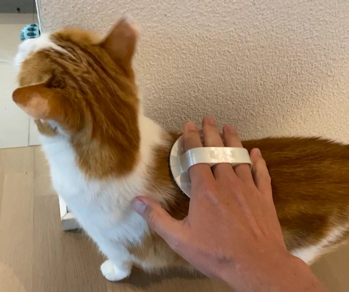 Brosse de toilettage parfaite - facile à imprimer et solide - Pet Print