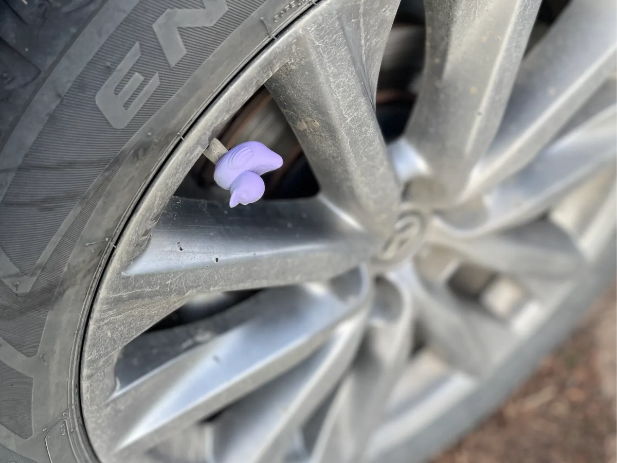 Capuchon de valve de canard en caoutchouc pour pneu de voiture fileté - Auto Print