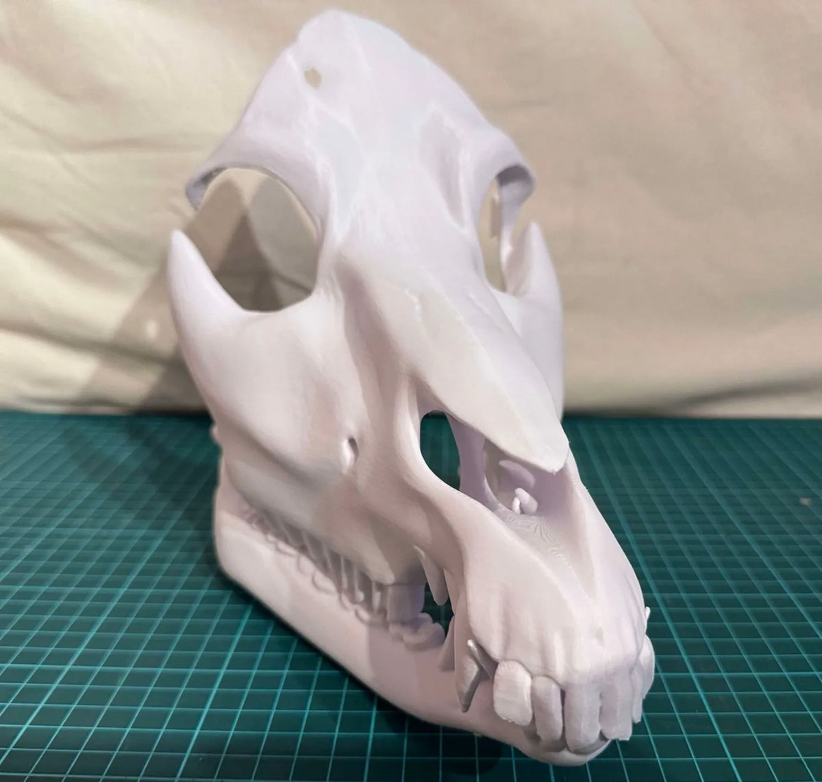 Masque de Crâne de Monstre - Cosplay Print