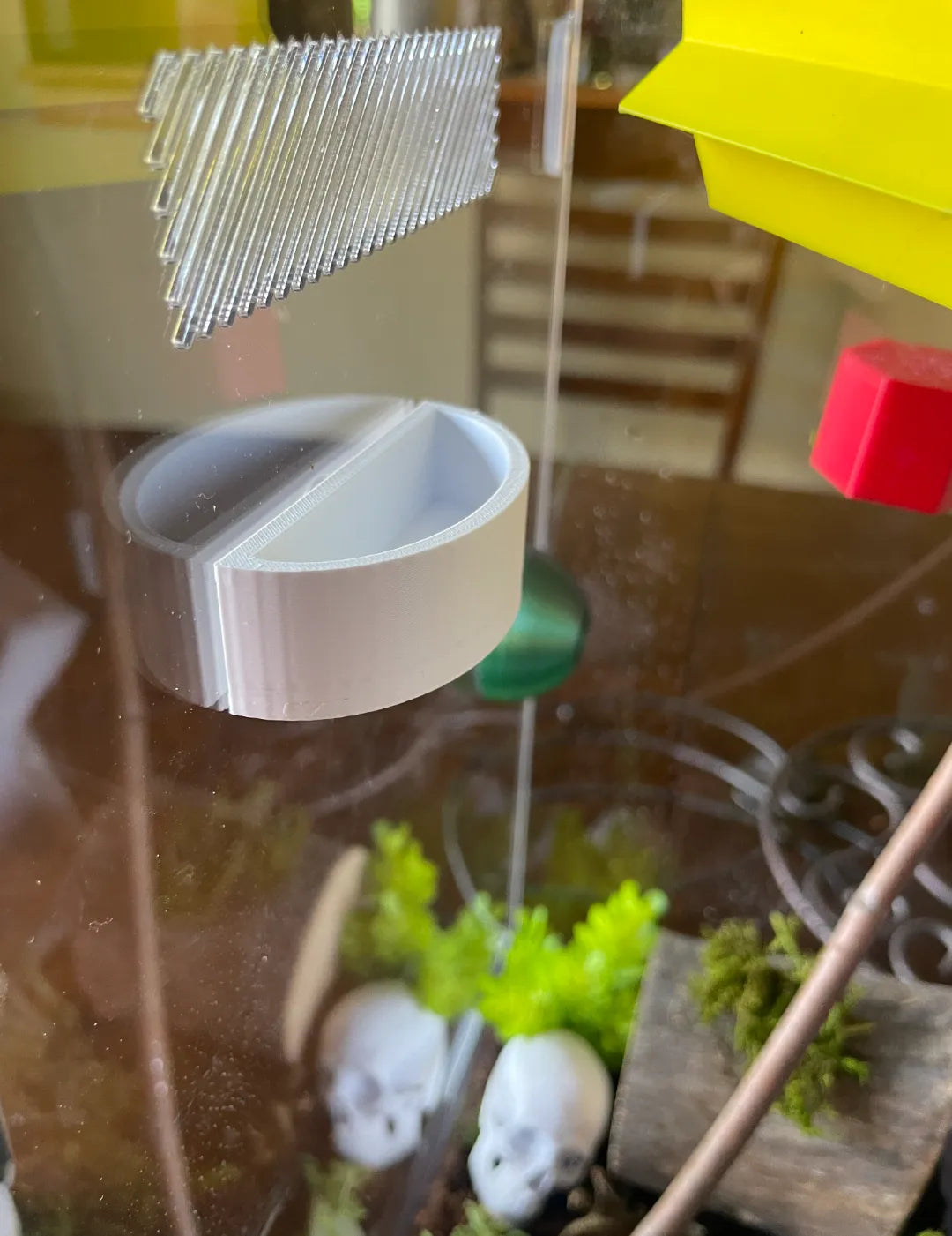 Bol d'eau/nourriture pour araignée - Pet Print