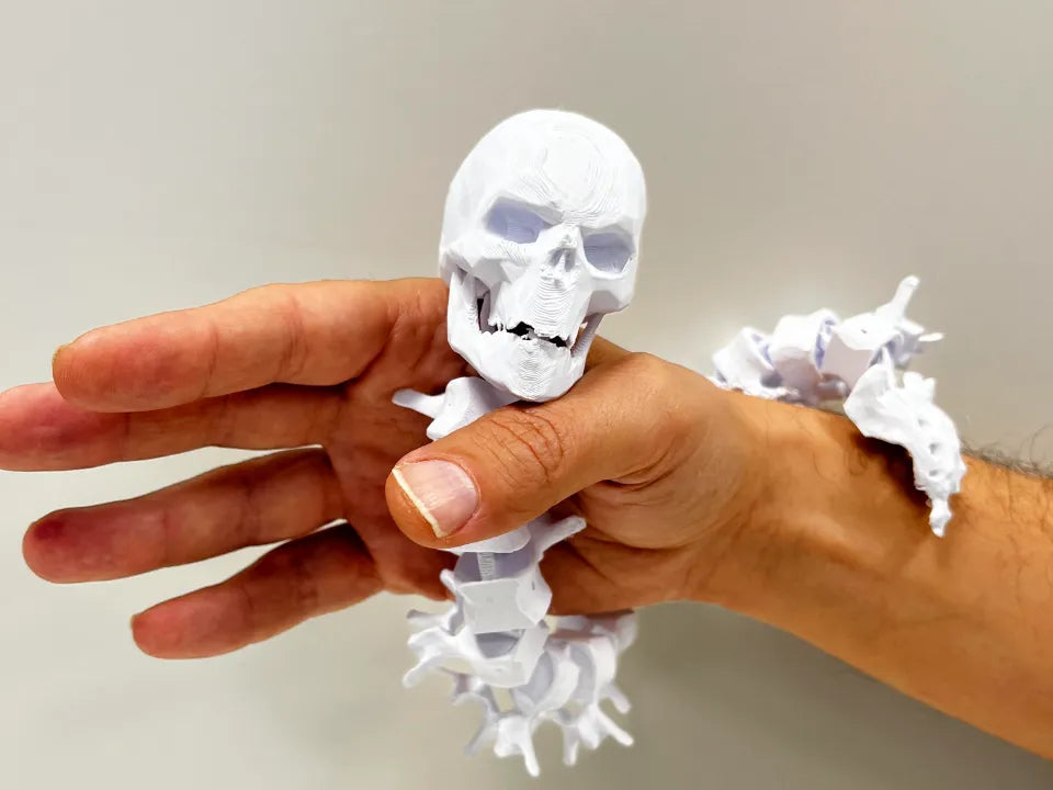 Colonne vertébrale et crâne d'Halloween articulés - Science Print