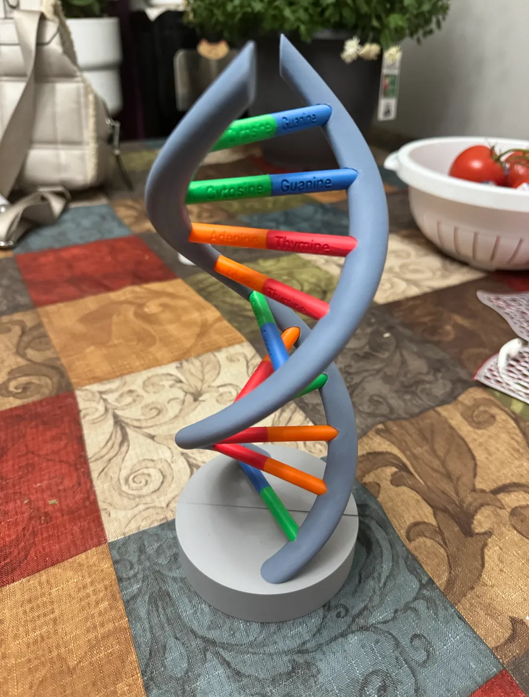 Modèle d'ADN - Multicolore et à emboîtement - Science Print