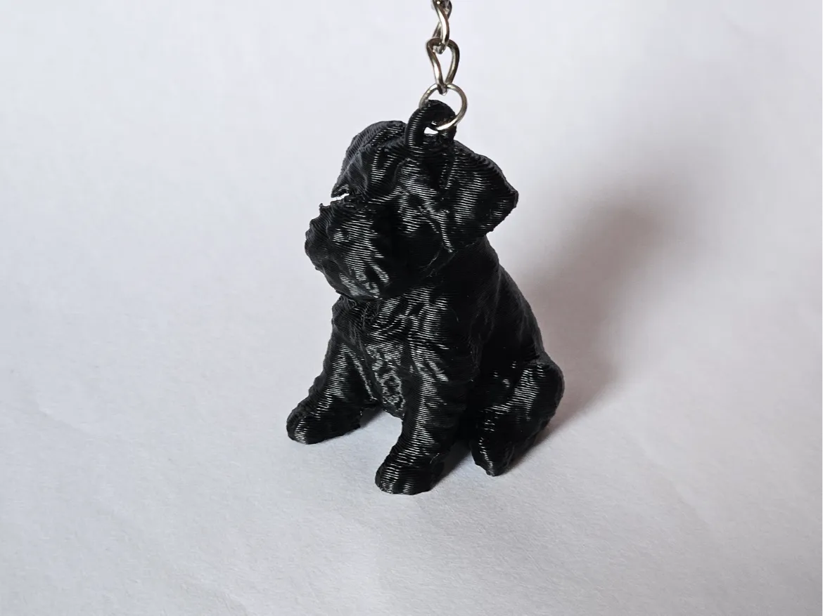 Porte-clés Mini Schnauzer - Figurine Print