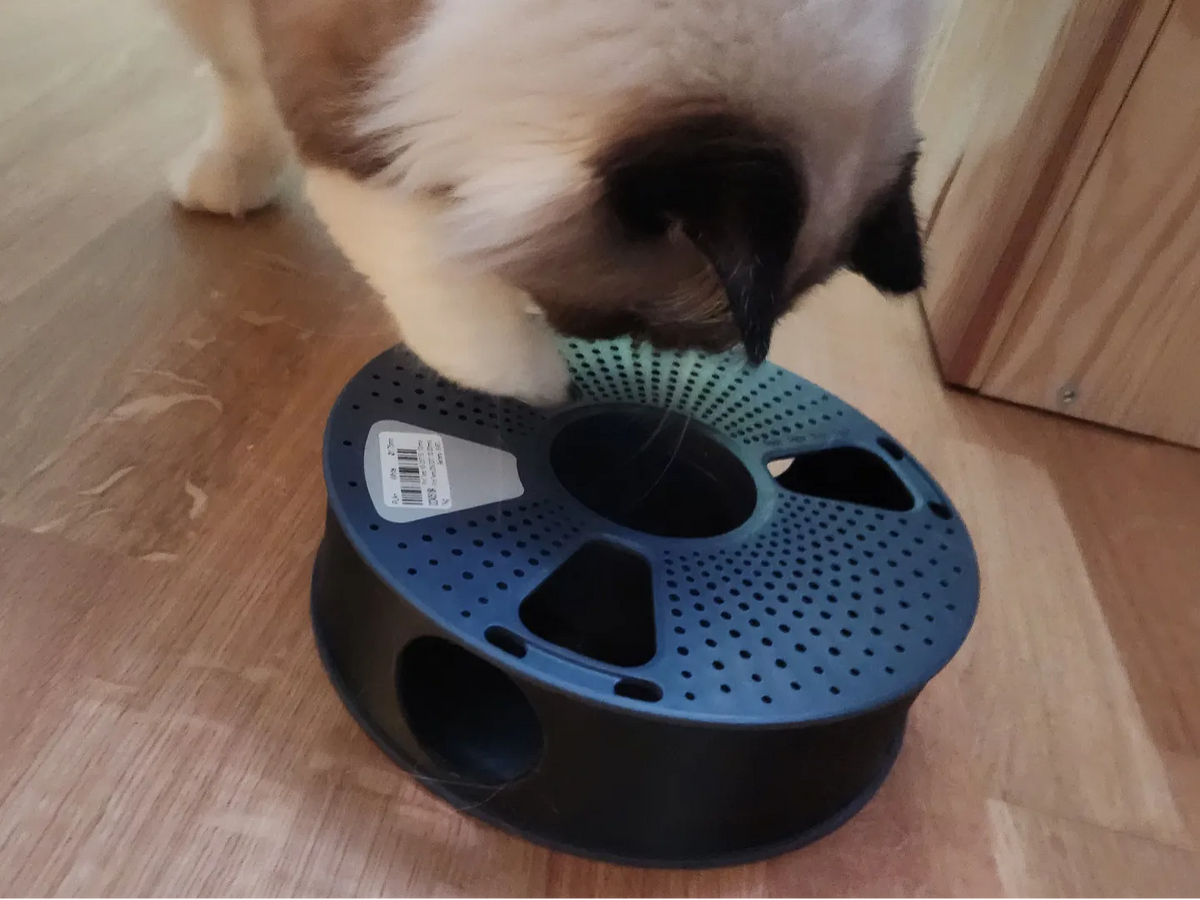 Jouet d'activité pour friandises pour chat à partir d'une bobine Sunlu vide - Pet Print