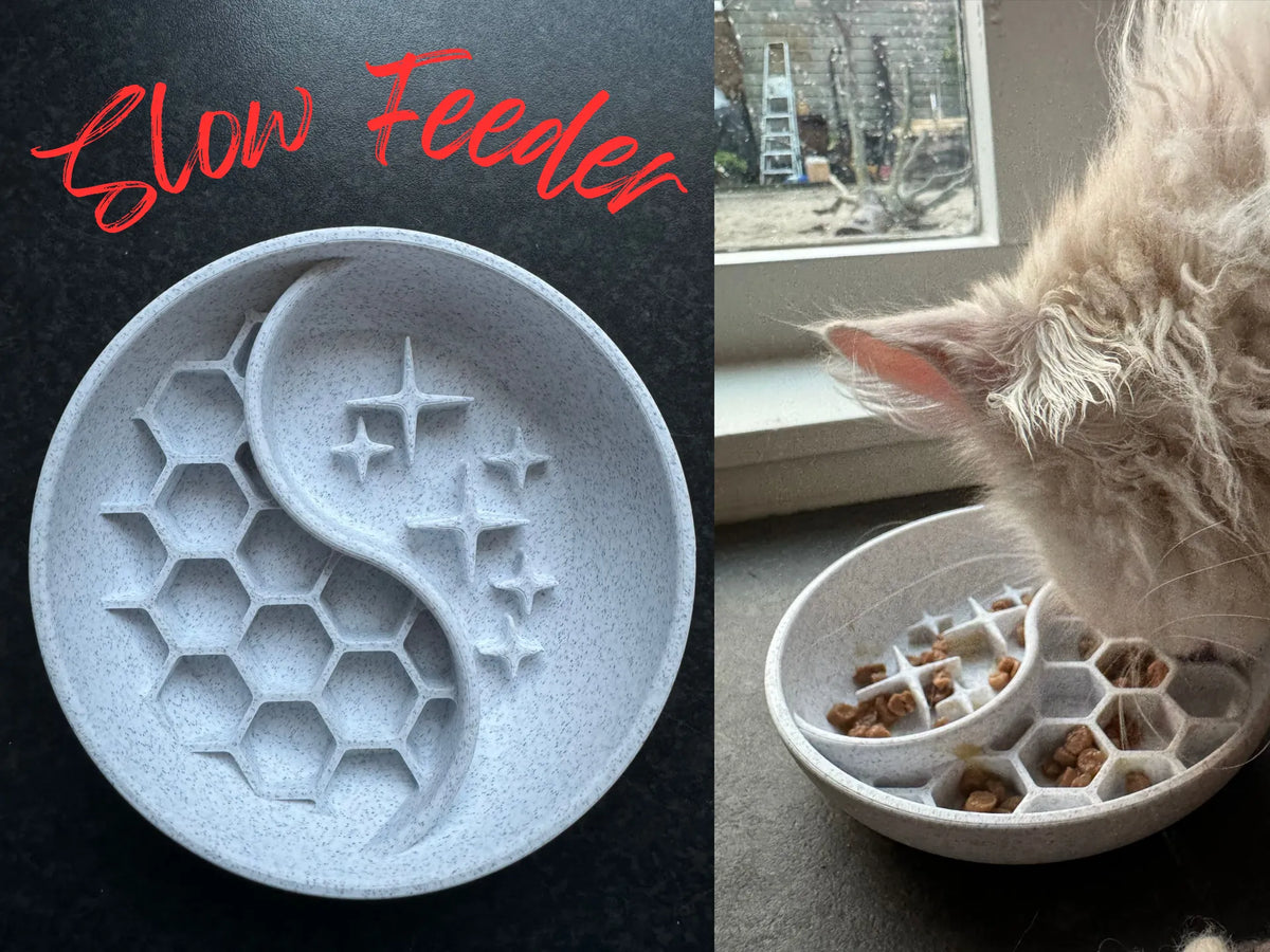 Gamelle Lente pour Chat/Chien – modèle 2 - Pet Print