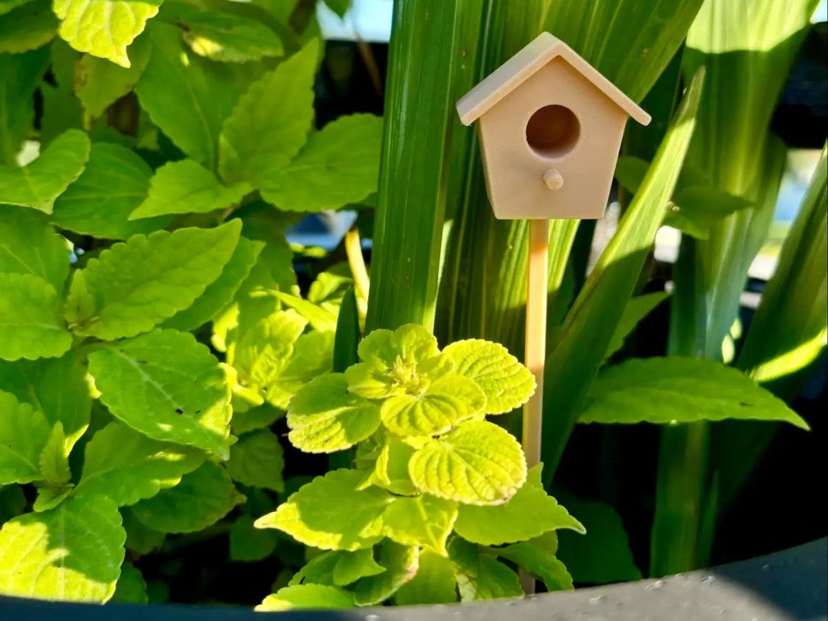 Miniature de Nichoir à Oiseaux - Décoration pour Plantes ou Jardin - Jardin Print