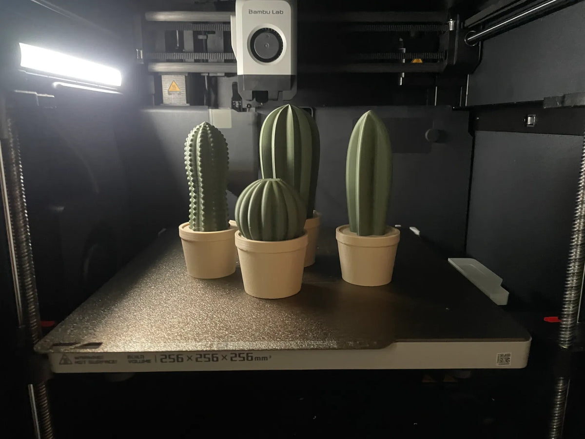Cactus en pots - Jardin Print