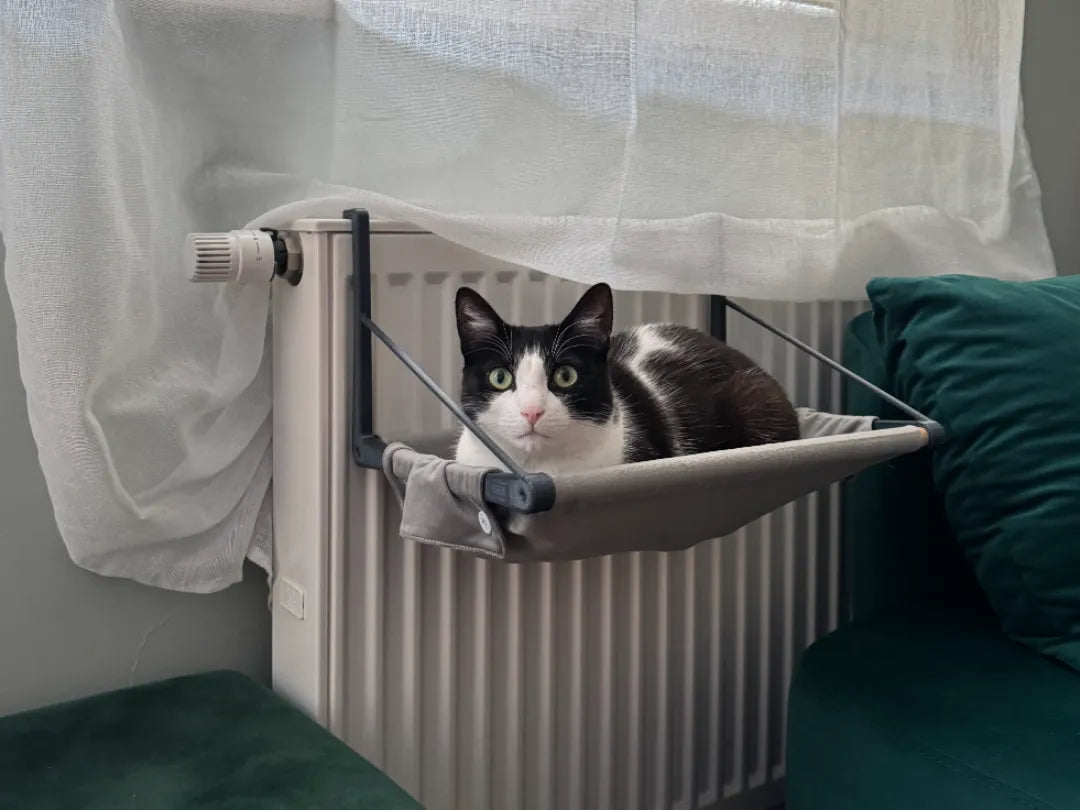 Lit pour chat à fixer à une fenêtre ou un radiateur - Pet Print