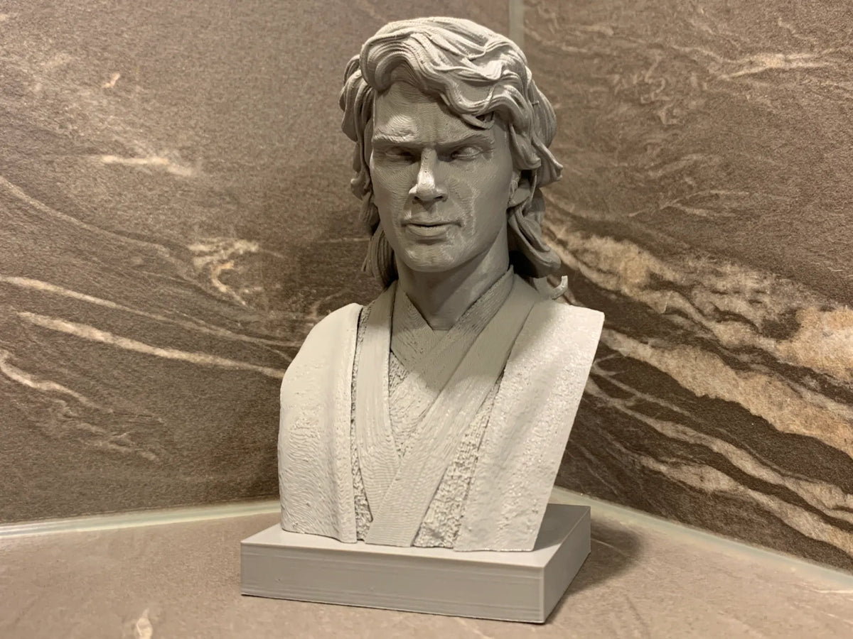 Buste d'Anakin Skywalker - Star Wars - Geek Print