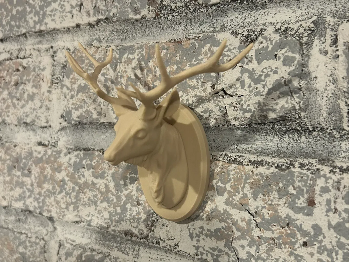 Trophée tête de cerf - Art Print