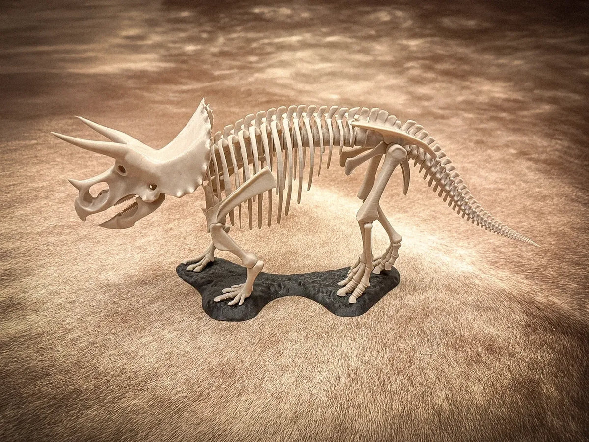 Squelette de Tricératops - Maquette Print