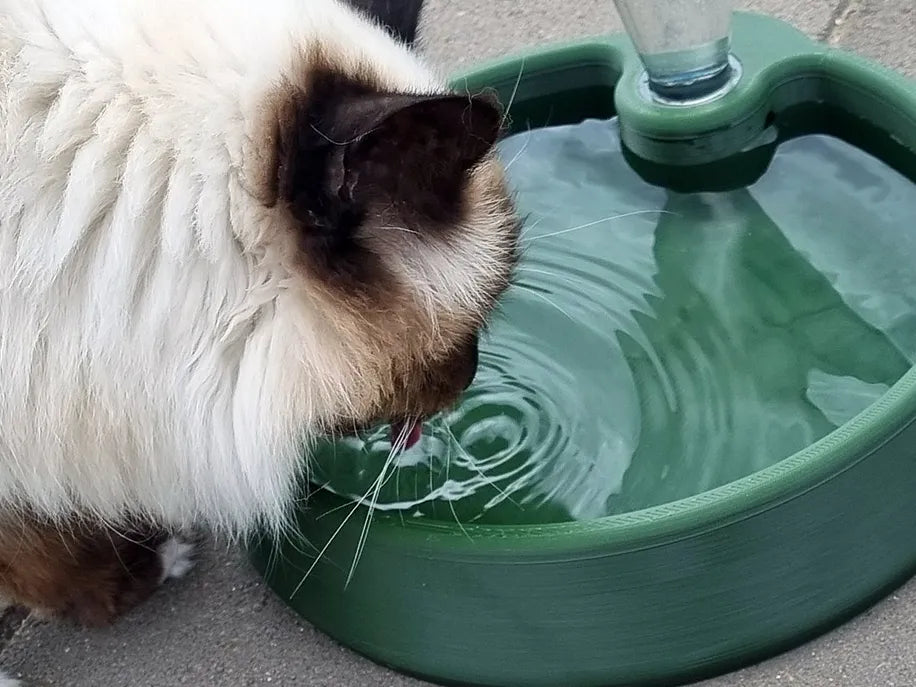 Grand Abreuvoir pour Animaux XXL pour Bouteilles à Vis - Pet Print