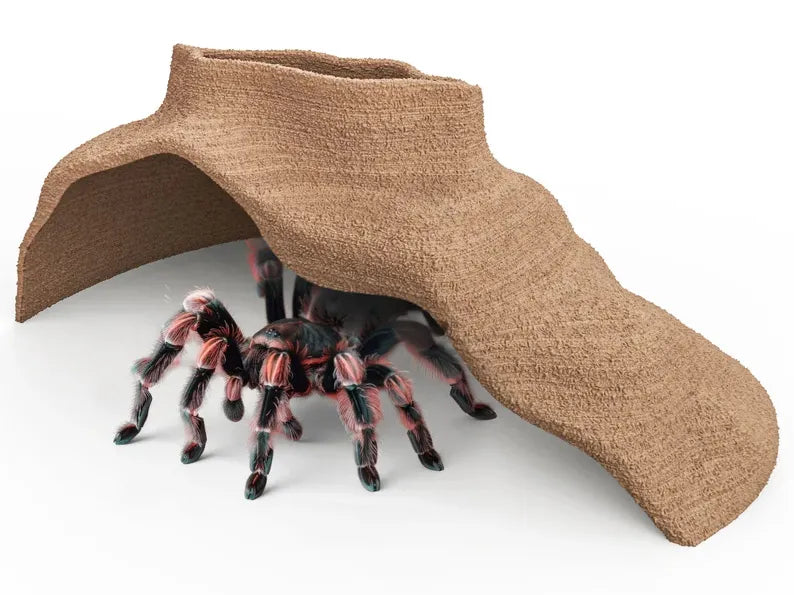 Grotte de Terrarium pour Tarentule-Reptile - Pet Print