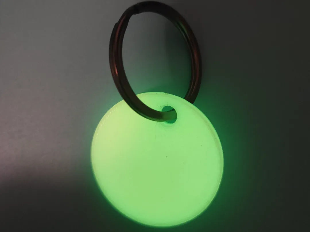 Plaque lumineuse pour chien/clés - Pet Print