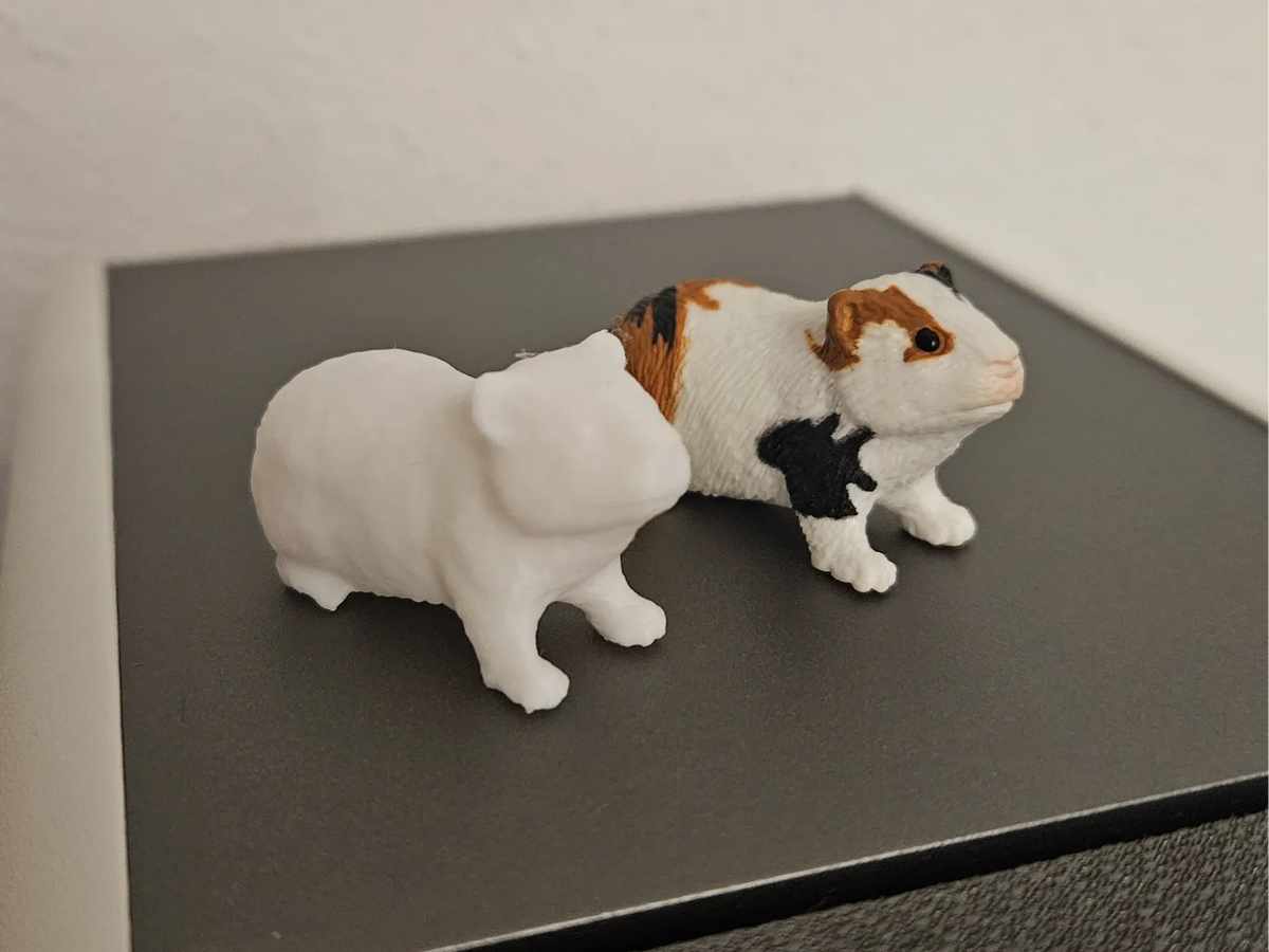 Cochon d'Inde - Meerschweinchen - Pet Print