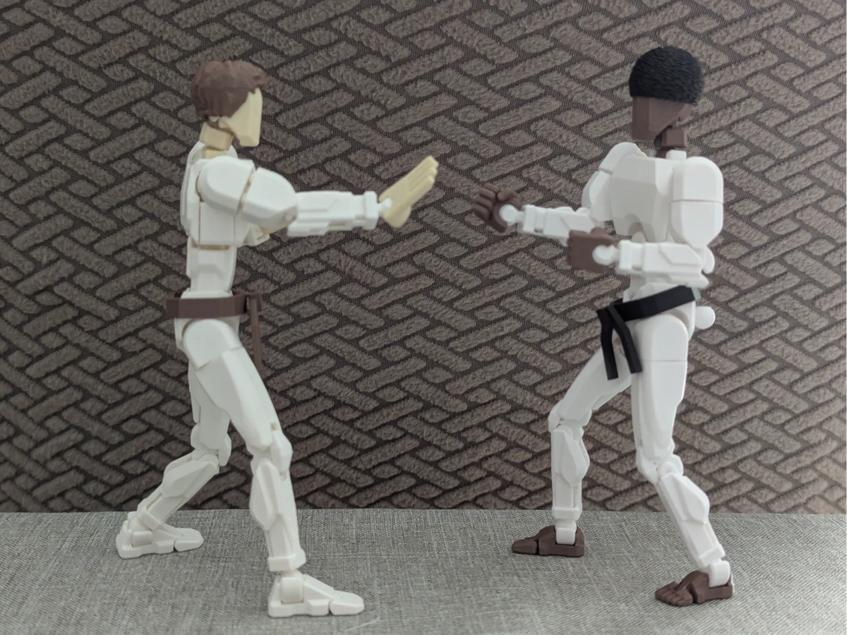 Modèle 13 Karaté Judo Taekwondo guerrier générique - Sport Print