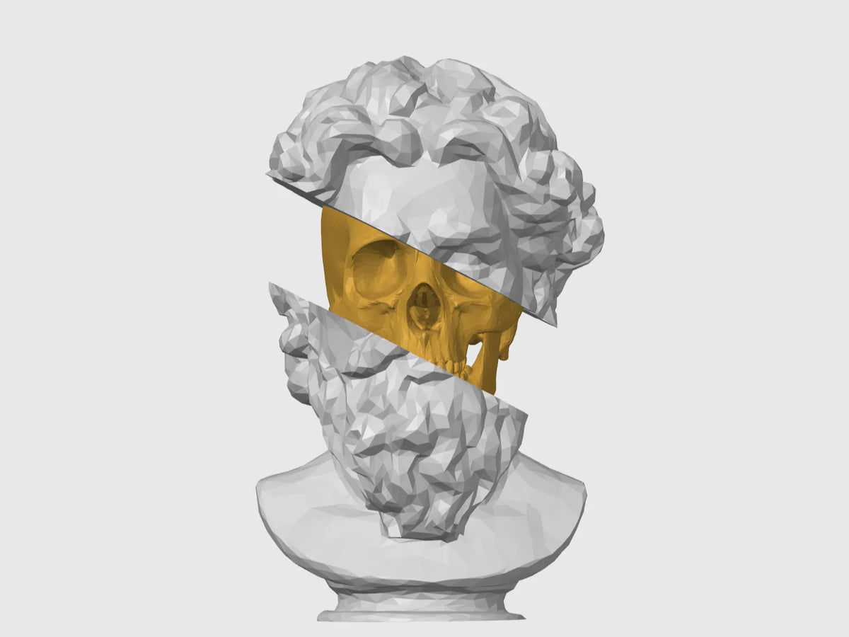 Sculpture de tête / crâne en low poly - Art Print