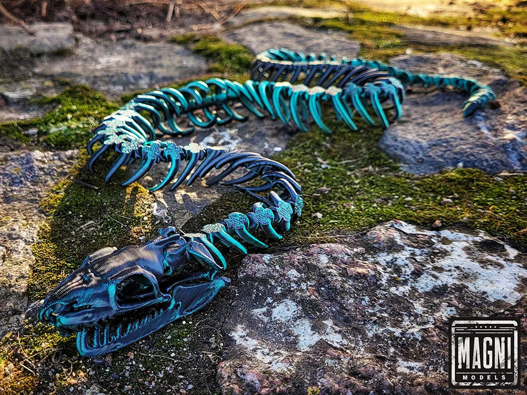 Squelette de serpent articulé - Science Print