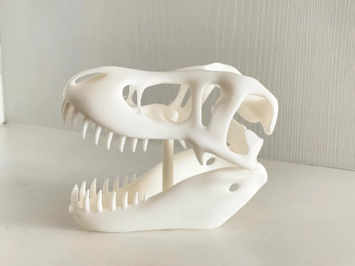 Fossilles de crâne de dinosaure - Maquette Print