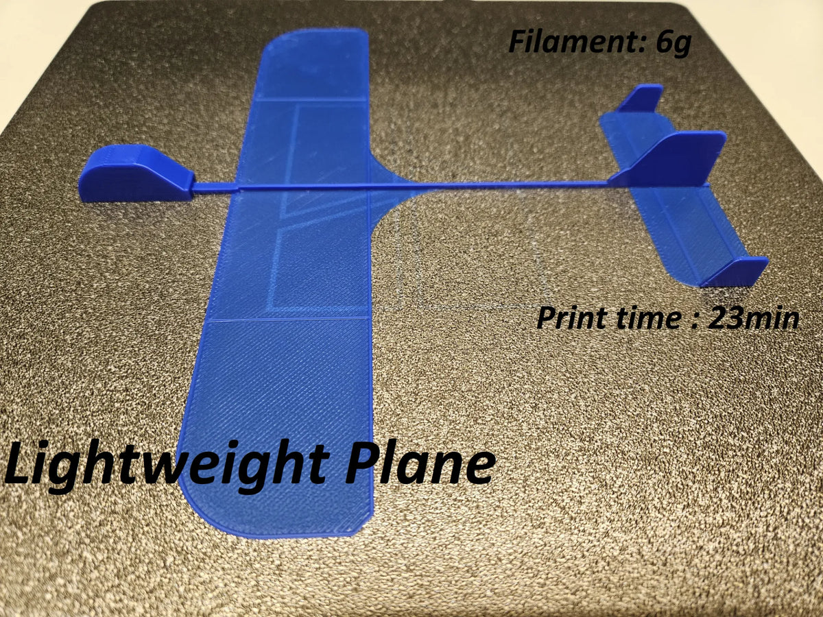 Avion léger - Maquette Print
